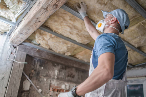 Best Eco-Friendly Insulation in Ronkonkoma, NY